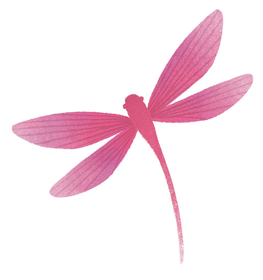 Mini Dragonfly Image