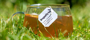 Walled Garden Dragonfly Tea Mug with Tea Tag in Grass.